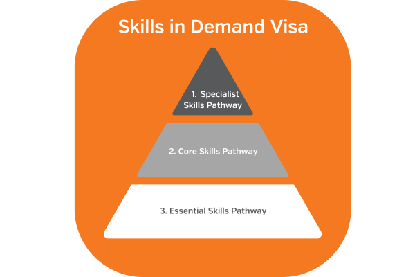 Skills in Demand Visa Transition